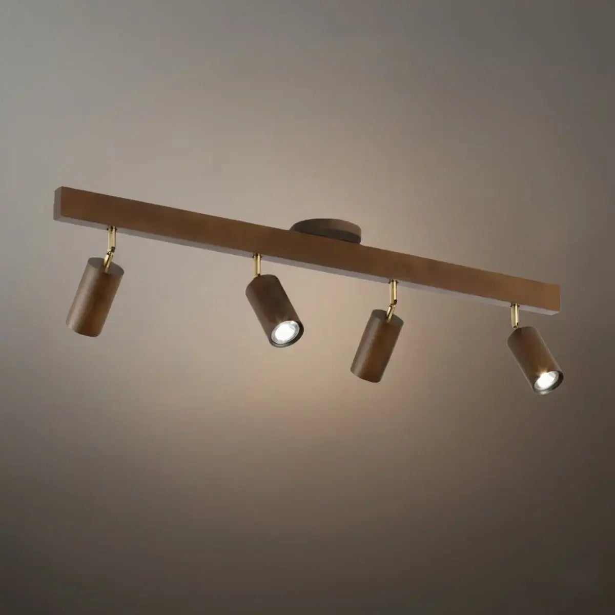 Modern Track Light